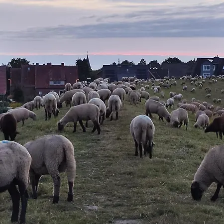 Ruhiges Elbhaeuschen Nahe Hamburg * Hollern-Twielenfleth
