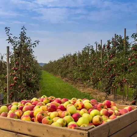 Дом отдыха Ruhiges Elbhaeuschen Nahe Hamburg