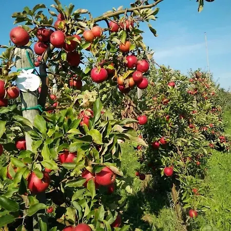 Дом отдыха Ruhiges Elbhaeuschen Nahe Hamburg Hollern-Twielenfleth
