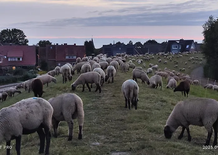Ruhiges Elbhaeuschen Nahe Hamburg * Hollern-Twielenfleth