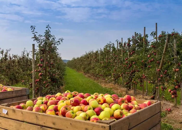 Prázdninový dům Ruhiges Elbhaeuschen Nahe Hamburg