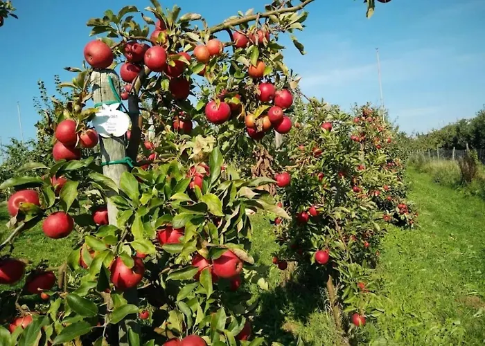 Prázdninový dům Ruhiges Elbhaeuschen Nahe Hamburg Hollern-Twielenfleth